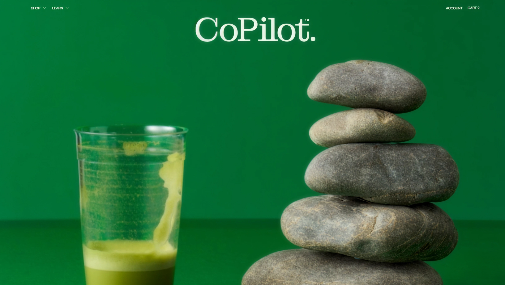 CoPilot live storefront, Spiced Chai hero banner shipped by Digisoft Solution